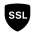 icons8-security-ssl-100 (Custom)