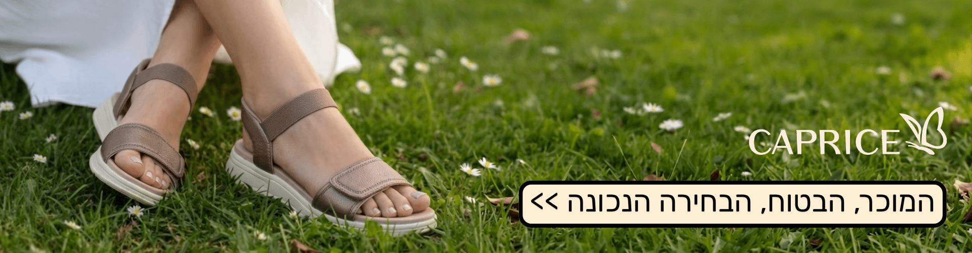 באנר דסקטופ (3)